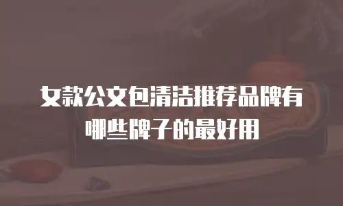 女款公文包清洁推荐品牌有哪些牌子的最好用