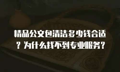 精品公文包清洁多少钱合适？为什么找不到专业服务？