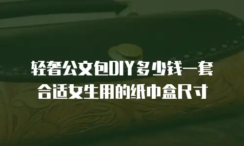 轻奢公文包DIY多少钱一套合适女生用的纸巾盒尺寸