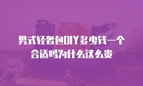 男式轻奢包DIY多少钱一个合适吗为什么这么贵