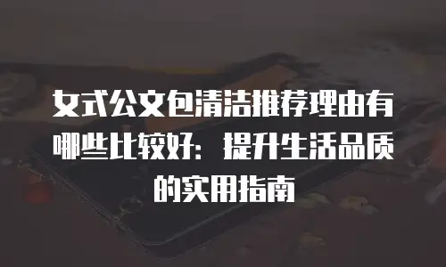 女式公文包清洁推荐理由有哪些比较好：提升生活品质的实用指南