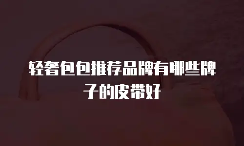 轻奢包包推荐品牌有哪些牌子的皮带好