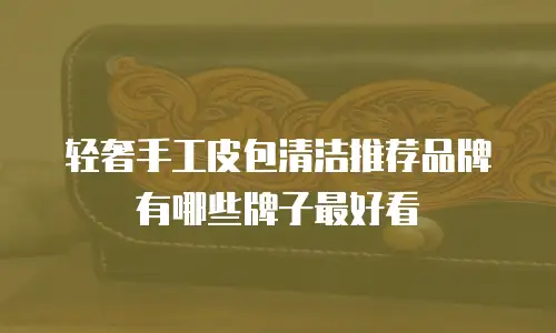 轻奢手工皮包清洁推荐品牌有哪些牌子最好看