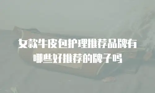 女款牛皮包护理推荐品牌有哪些好推荐的牌子吗