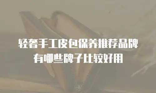轻奢手工皮包保养推荐品牌有哪些牌子比较好用