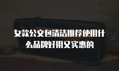 女款公文包清洁推荐使用什么品牌好用又实惠的