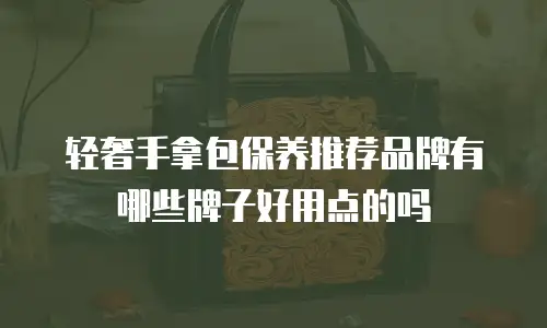 轻奢手拿包保养推荐品牌有哪些牌子好用点的吗