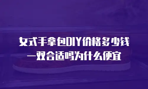 女式手拿包DIY价格多少钱一双合适吗为什么便宜