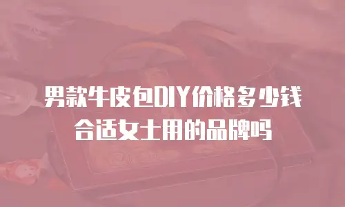 男款牛皮包DIY价格多少钱合适女士用的品牌吗