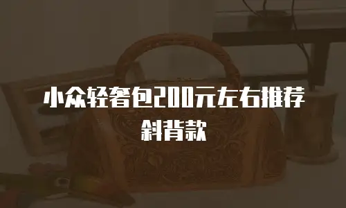 小众轻奢包200元左右推荐斜背款