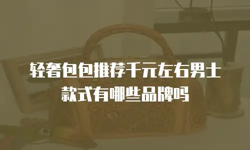 轻奢包包推荐千元左右男士款式有哪些品牌吗
