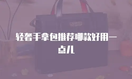 轻奢手拿包推荐哪款好用一点儿