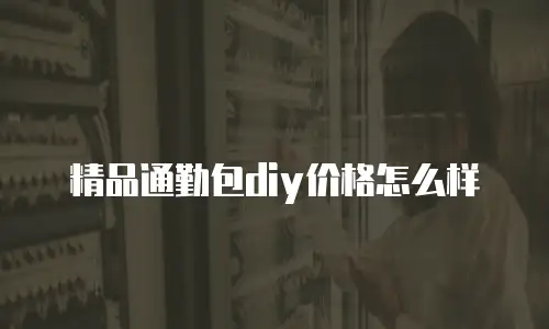 精品通勤包diy价格怎么样