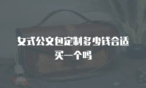 女式公文包定制多少钱合适买一个吗