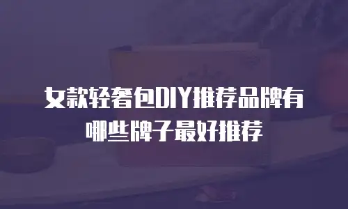 女款轻奢包DIY推荐品牌有哪些牌子最好推荐