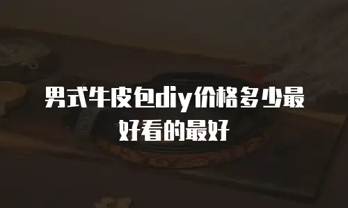 男式牛皮包diy价格多少最好看的最好