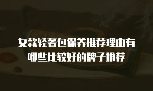 女款轻奢包保养推荐理由有哪些比较好的牌子推荐