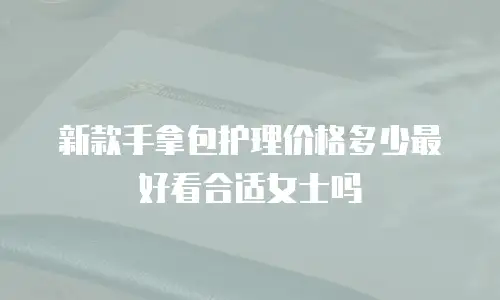 新款手拿包护理价格多少最好看合适女士吗