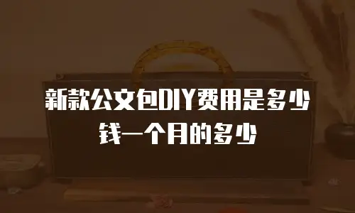 新款公文包DIY费用是多少钱一个月的多少