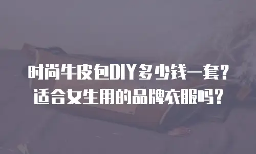 时尚牛皮包DIY多少钱一套？适合女生用的品牌衣服吗？