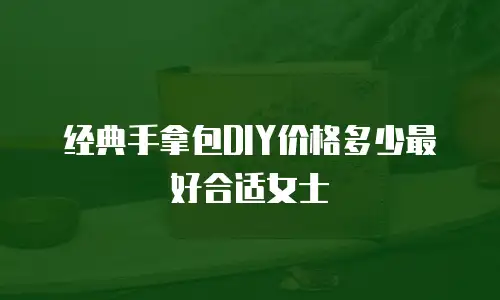 经典手拿包DIY价格多少最好合适女士