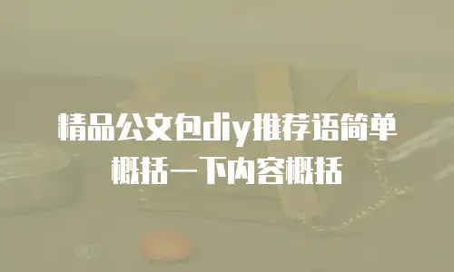 精品公文包diy推荐语简单概括一下内容概括