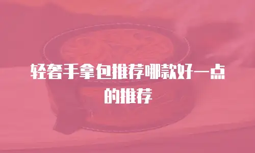 轻奢手拿包推荐哪款好一点的推荐