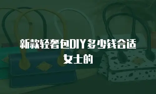 新款轻奢包DIY多少钱合适女士的