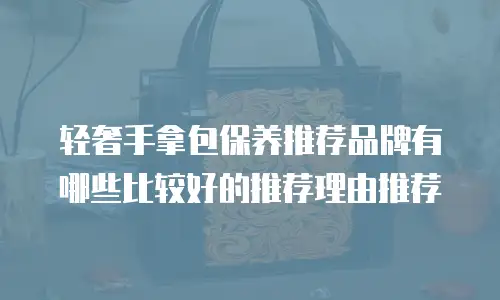 轻奢手拿包保养推荐品牌有哪些比较好的推荐理由推荐