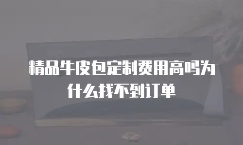 精品牛皮包定制费用高吗为什么找不到订单