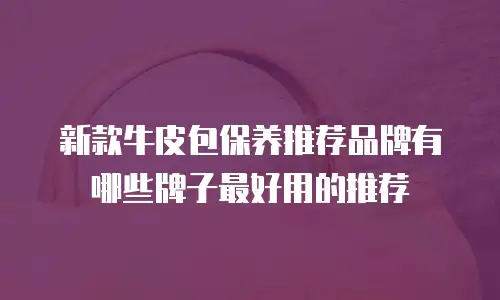 新款牛皮包保养推荐品牌有哪些牌子最好用的推荐