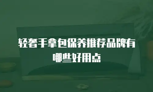 轻奢手拿包保养推荐品牌有哪些好用点