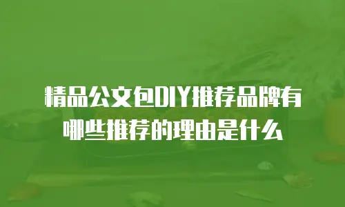 精品公文包DIY推荐品牌有哪些推荐的理由是什么