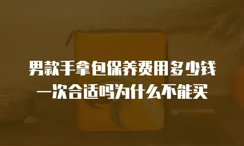 男款手拿包保养费用多少钱一次合适吗为什么不能买