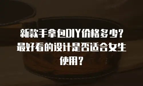 新款手拿包DIY价格多少？最好看的设计是否适合女生使用？