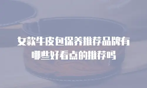 女款牛皮包保养推荐品牌有哪些好看点的推荐吗