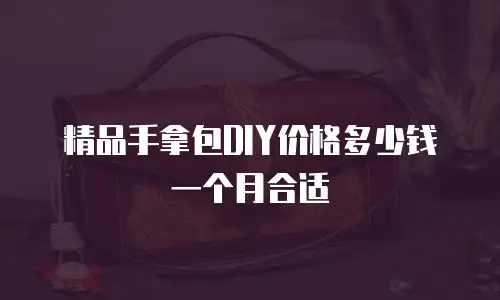 精品手拿包DIY价格多少钱一个月合适