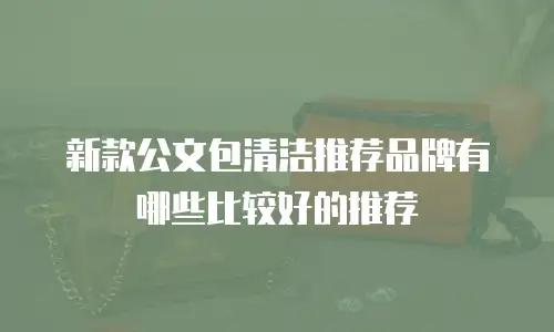 新款公文包清洁推荐品牌有哪些比较好的推荐