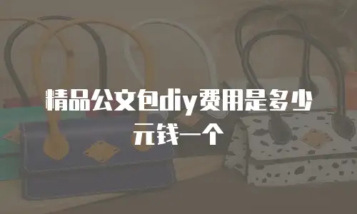 精品公文包diy费用是多少元钱一个