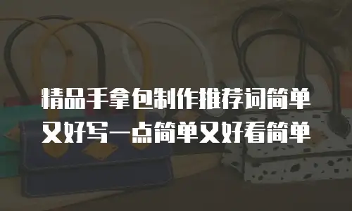 精品手拿包制作推荐词简单又好写一点简单又好看简单