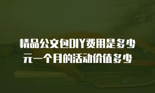 精品公文包DIY费用是多少元一个月的活动价值多少