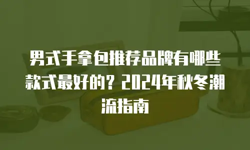 男式手拿包推荐品牌有哪些款式最好的？2024年秋冬潮流指南