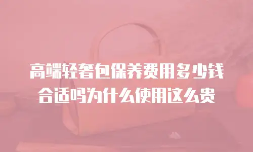 高端轻奢包保养费用多少钱合适吗为什么使用这么贵
