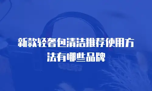 新款轻奢包清洁推荐使用方法有哪些品牌