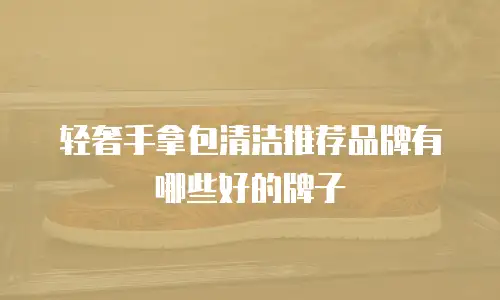 轻奢手拿包清洁推荐品牌有哪些好的牌子