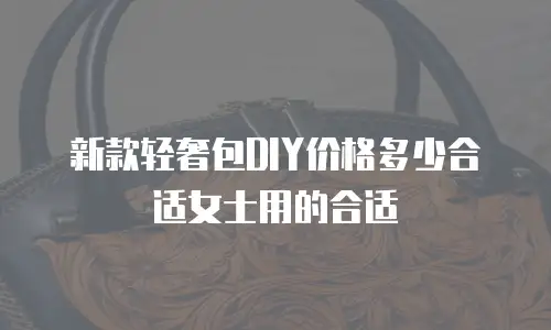 新款轻奢包DIY价格多少合适女士用的合适