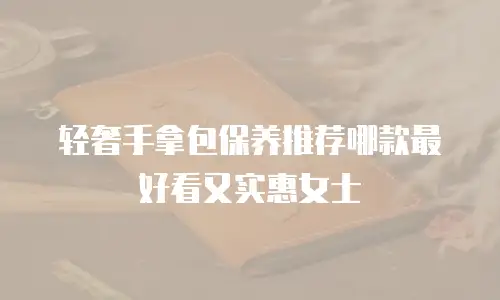 轻奢手拿包保养推荐哪款最好看又实惠女士