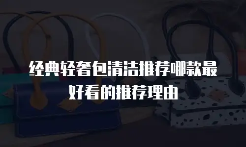 经典轻奢包清洁推荐哪款最好看的推荐理由