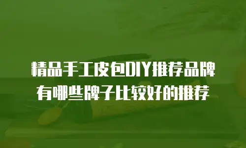 精品手工皮包DIY推荐品牌有哪些牌子比较好的推荐