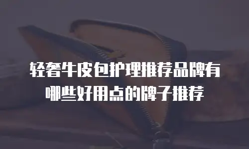 轻奢牛皮包护理推荐品牌有哪些好用点的牌子推荐